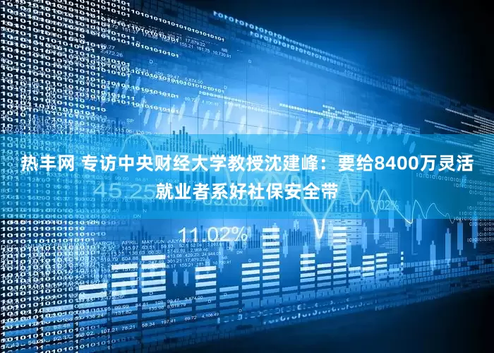 热丰网 专访中央财经大学教授沈建峰：要给8400万灵活就业者系好社保安全带