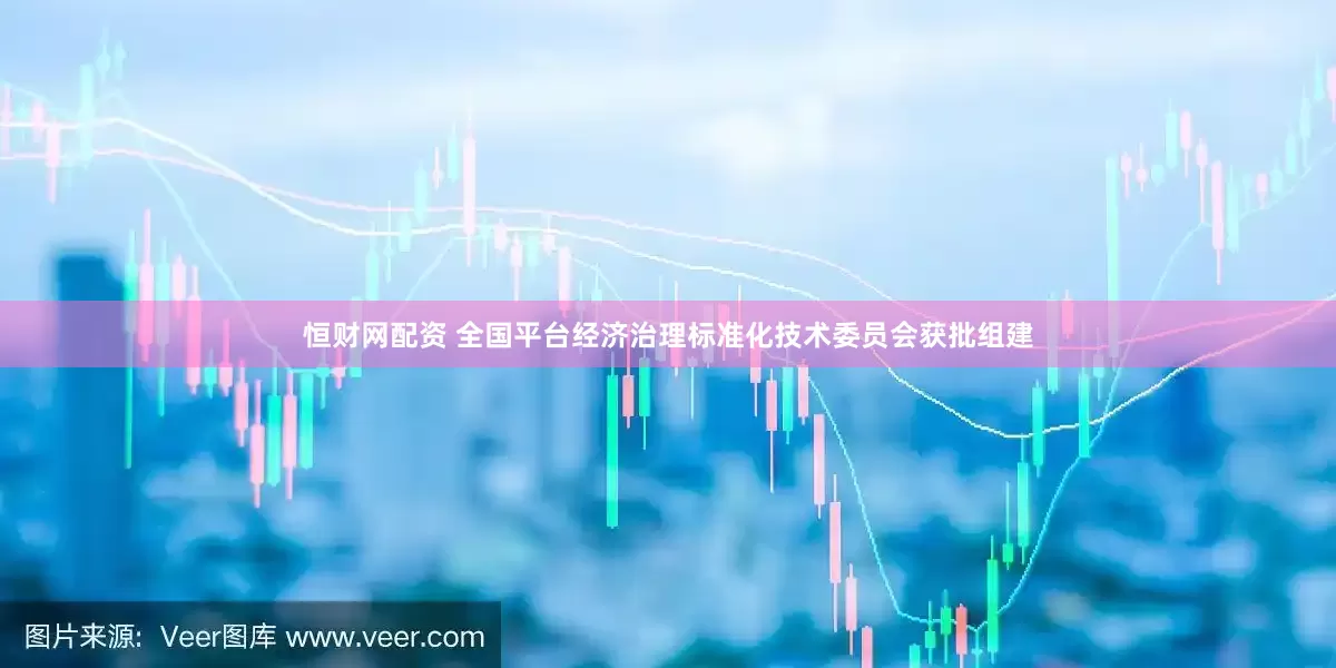 恒财网配资 全国平台经济治理标准化技术委员会获批组建
