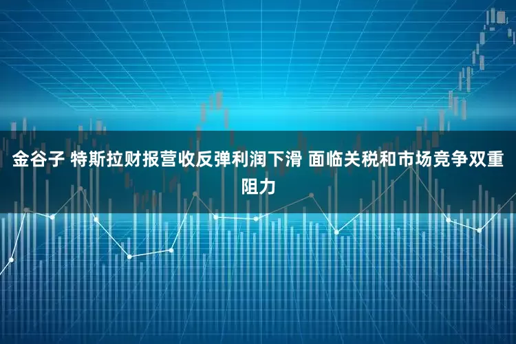 金谷子 特斯拉财报营收反弹利润下滑 面临关税和市场竞争双重阻力
